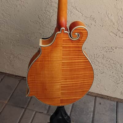 Epiphone MM-50E Professional Mandolin 2010s - Vintage Natural image 13