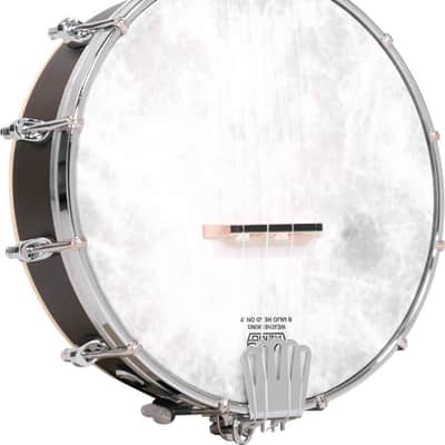 Gold Tone BU-1 Concert Banjolele image 1