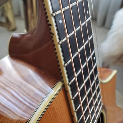 Breedlove C25/MH - Concert | Figured Mahogany & Sitka Spruce | Signed Steve Henderson image 3