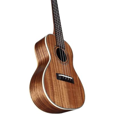 Alvarez RU90CP Regent Concert Ukulele Pack Regular Natural image 5