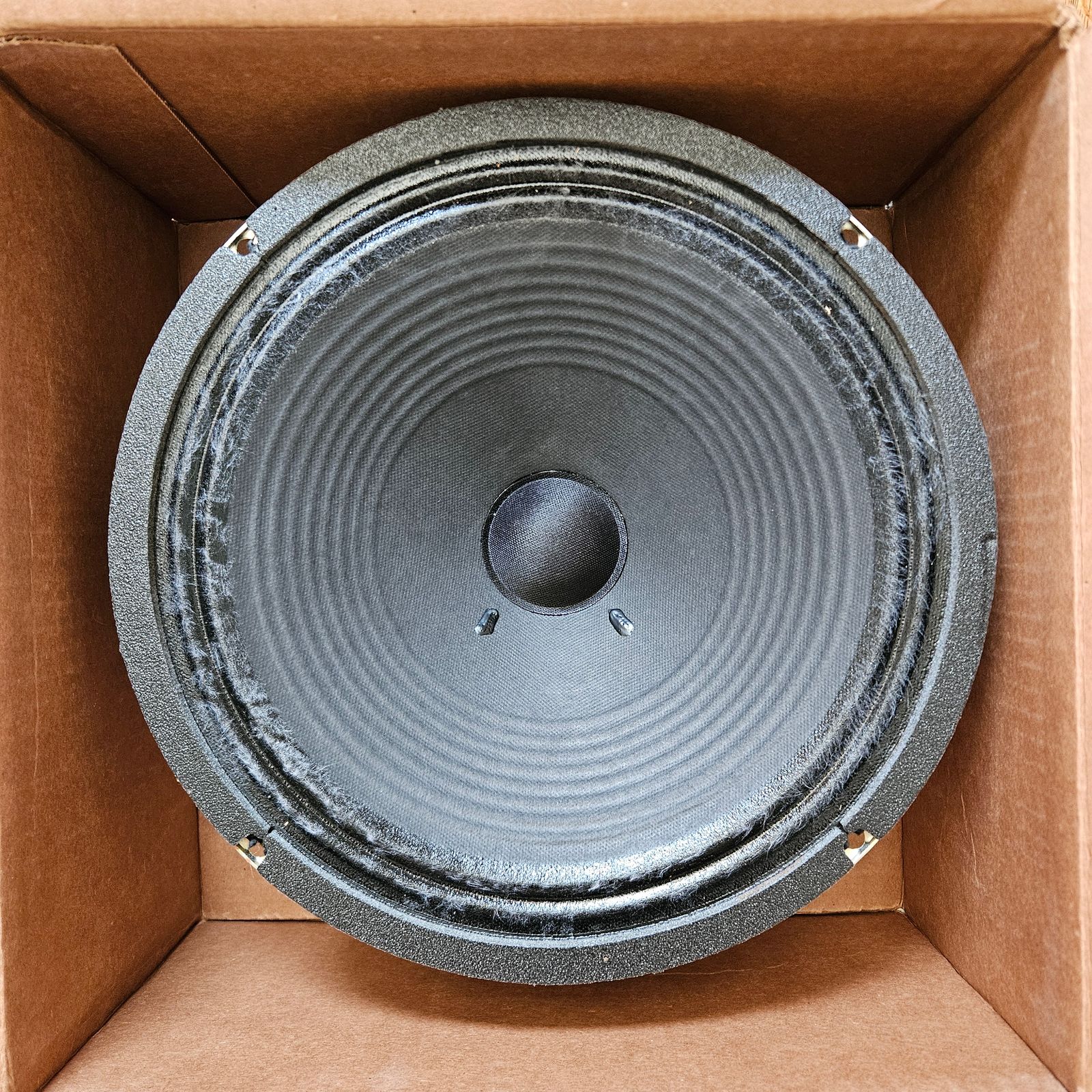 71ba40cd-740e-4bdb-8500-3493b60e7ae0.jpg