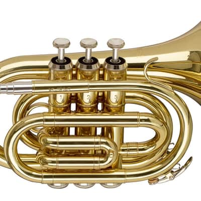Stagg Bb Brass Pocket Trumpet w/ Gig Bag - WS-TR245S image 1