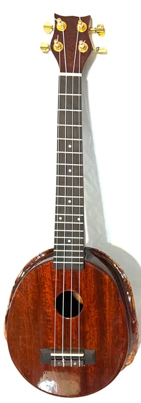 Turtle Shell Tenor Ukulele image 1