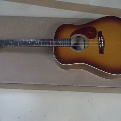 Seagull Entourage Rustic Dreadnought Acoustic Guitar Player!! image 1