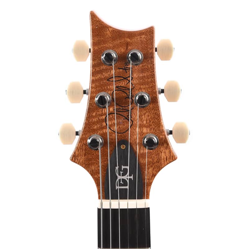 PRS DGT David Grissom Signature Wood Library image 6