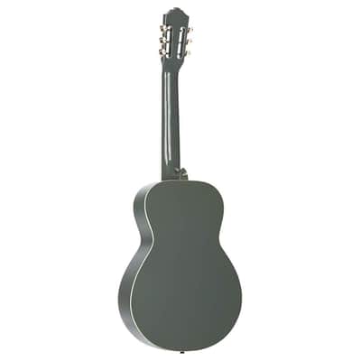 Ortega Guitars 6 Gaucho Series Nylon String Parlor Guitar w/Bag, Right, Platinum Grat (RGA-PLT) image 8