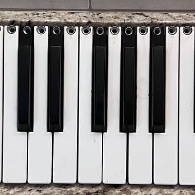 Alesis Micron Keys replacement Parts. Price for one key only