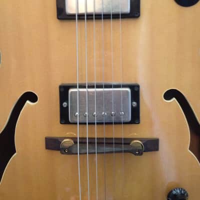 Epiphone Emperor Pre-Joe Pass with Case image 4