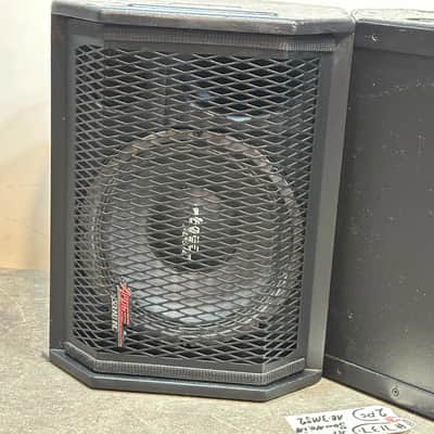 Apogee Sound AE-3Ms2 10" 2-Way Stage Monitor Loudspeaker #7137 (PAIR) THS image 5