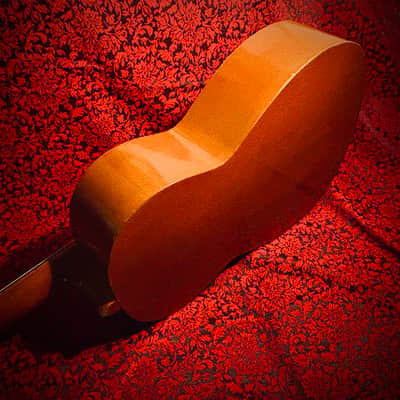 Vintage 1965 Giannini Model 6 image 14