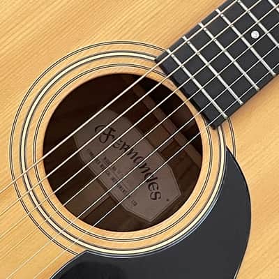 Fernandes W-200 - 1970's Made in Japan 🇯🇵! - Original Hang | Reverb