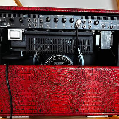 Mesa Boogie Mark V 2021 - special edition image 10