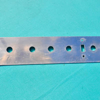 1969 Fender  Showman Silverface Faceplate image 10