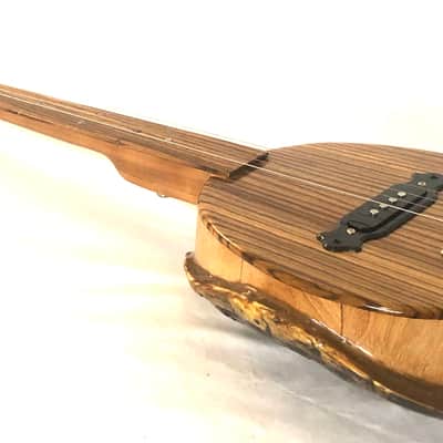 4 string Turtle shell slide guitar image 7