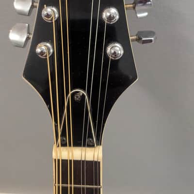 Copley CAM100 Mandolin image 3