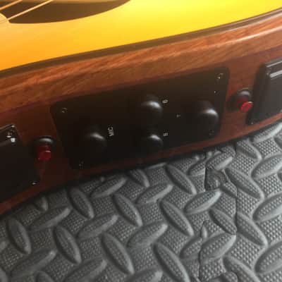 Extraordinary Near Mint Virtuoso Custom Telesis Bespoke 20 String Electro-Acoustic Harp Guitar image 10