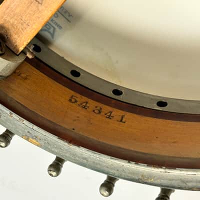 Vega Style S Banjo Mandolin 1920s Curly Maple Banjolin image 10