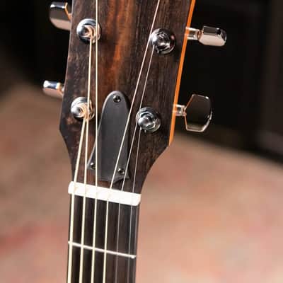 Taylor 214ce Grand Auditorium Acoustic/Electric Guitar with Gig Bag image 5