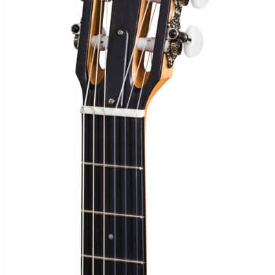 Taylor 214ce-Nylon Acoustic/Electric Guitar with Deluxe Gigbag image 8