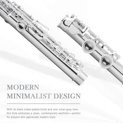 Nickel-plated C Flutes, Closed Hole 16Keys Flute for Beginner Student, Flute Instrument with Cleaning Kit, Carrying Case, Gloves, Tuning Rod image 3