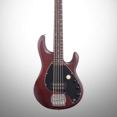 Sterling by Music Man Ray5 StingRay 5-String Electric Bass, Walnut Satin image 2