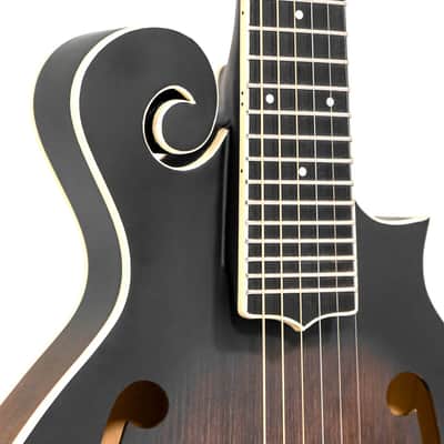 Gold Tone F-6: F-style Mando-Guitar with Pickup and Case image 4