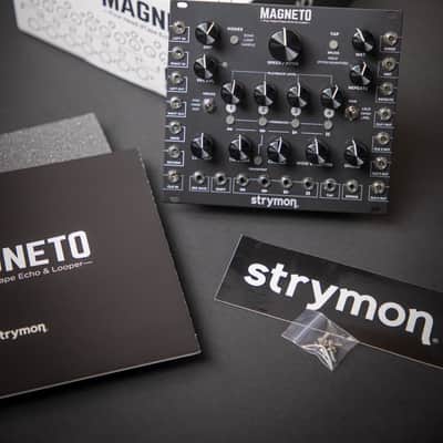 Strymon Magneto image 9