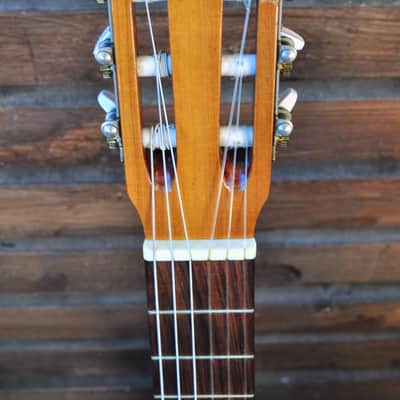 Francisco Manuel Diaz Classic guitar image 5