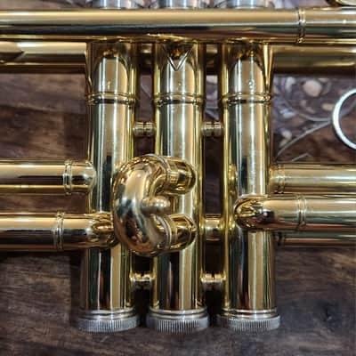 Taishan Winds TSTR-801 bB Trumpet Gold Lacquer Over Brass 2020 image 6