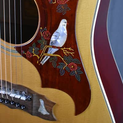 1977 Alvarez 5024 Dove image 2