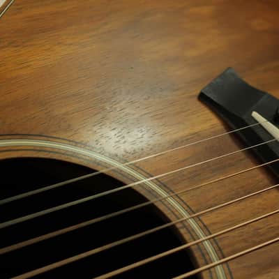 PROJECT Taylor GS Mini (096) image 9