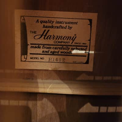 Harmony H160E Dreadnought Natural-Set Up image 6