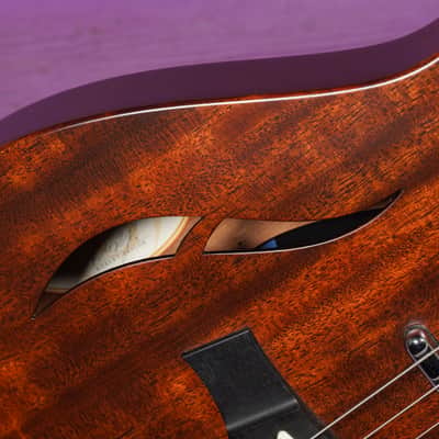 2014 Taylor T5z Classic Semihollow Acoustic/Electric Guitar (VIDEO! Fresh Work, Ready) image 7