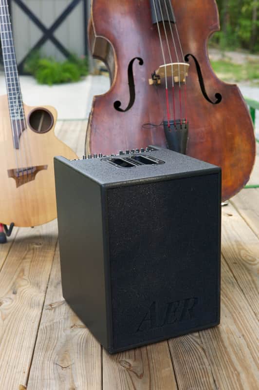 AER Basic Performer Combo Bass Amplifier 2010 Black image 1