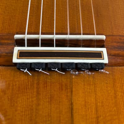 José Ramírez 1A 1981 - Cedar Top East Indian Rosewood Back and Sides image 14