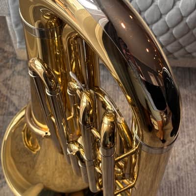 Andreas Eastman EBB-231 3/4 Tuba Rolling Cade and Moc image 18