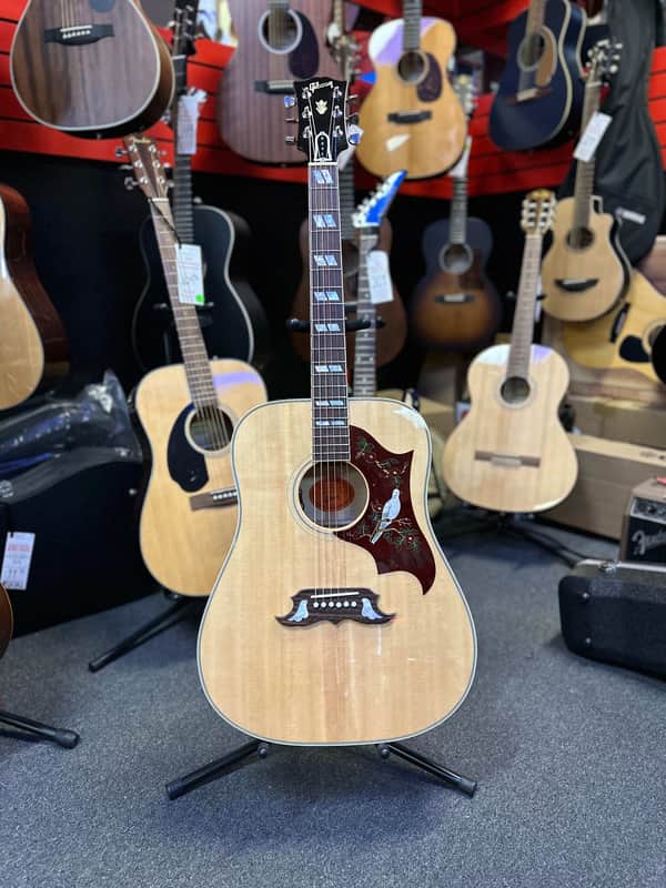 Gibson Standard Dove