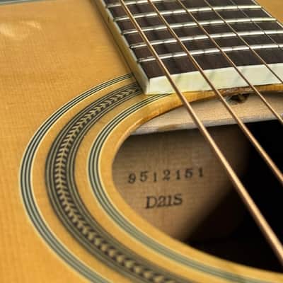 Washburn D21S - Spruce/Rosewood image 8
