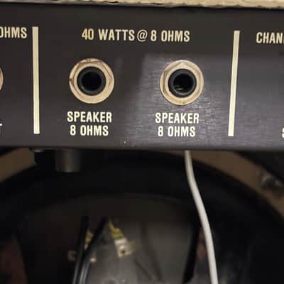 Randall RG50 112 Snakeskin Tolex w/ JAGUAR 12" RES-80 Speaker Great Condition image 13