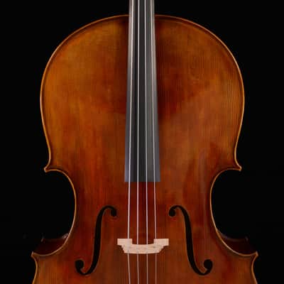 Master Cello Montagnana Cello Fantastic Sound No. No.W034 image 9