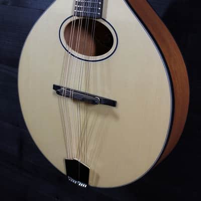 Eastman PCH M104 Natural A-Style / Flattop Oval Hole Mandolin image 14