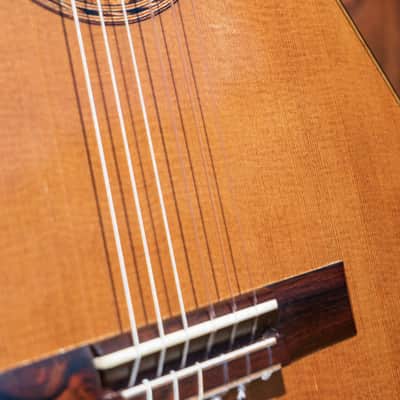 2016 Kris Barnett, Cedar Ziricote, Hybrid Fan Lattice Braced, Elevated Fingerboard , Soundport image 14