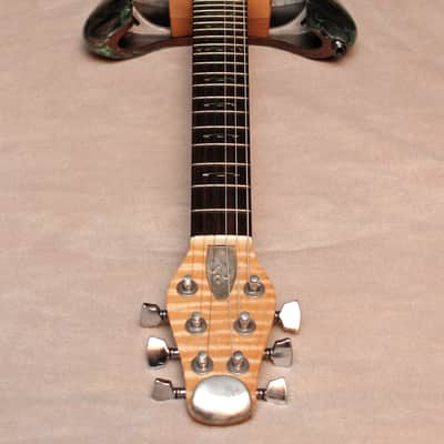 RKS hollowbody Relic one-off custom - Free shipping image 2