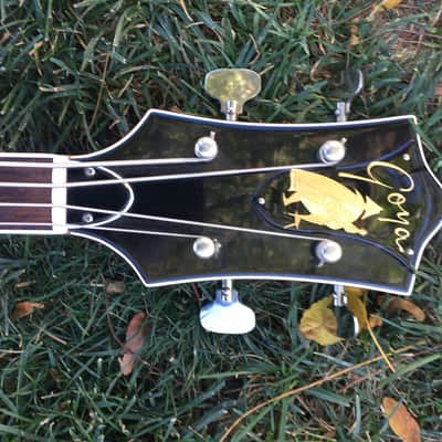 GOYA 1965 VINTAGE PANTHER BASS GUITAR - All Original - Case image 3
