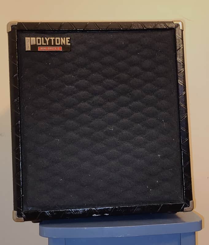 Polytone Mini-Brute II FREE shipping image 1