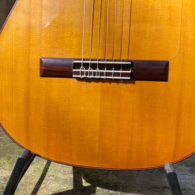 Salvador Castillo Flamenco Blanca 2008 - French Polish image 10