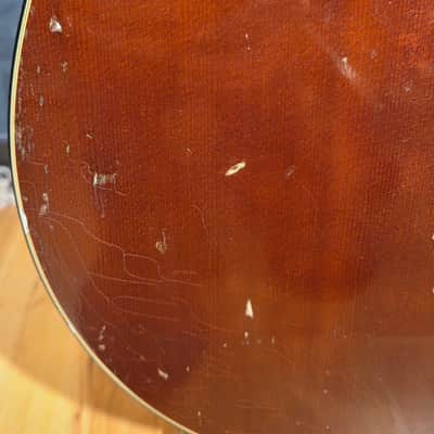 USA Vintage 1978 Guild D-25M Mahogany Brown w/ OHSC image 9