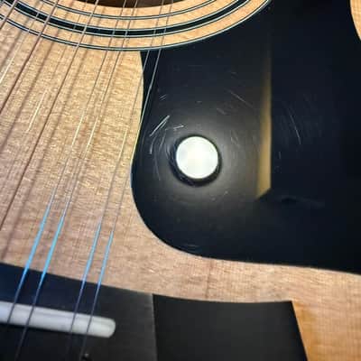 Taylor 356ce with ES2 Electronics 2019 - 12-String Guitar image 4