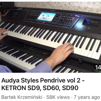 KETRON Pendrive USB Stick Audia Styles Vol. 2 ( for SD9,SD90,SD60,SD60K) image 4