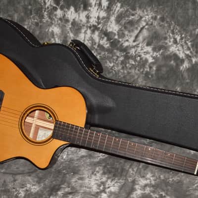 Immagine 2024 Breedlove - Organic Pro Performer CN Acoustic Electric - Aged top Toner, Burst back - 4